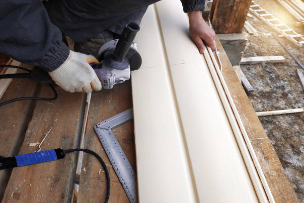 Best Steel Siding Installation  in Williamsburg, FL